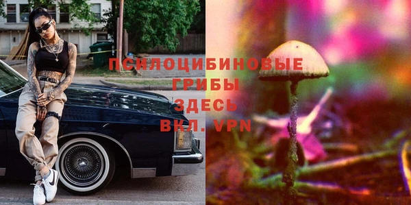 винт Аркадак