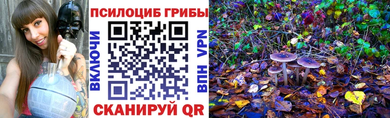 Псилоцибиновые грибы мухоморы  mega зеркало  Канаш 