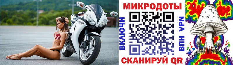 Галлюциногенные грибы мухоморы Канаш