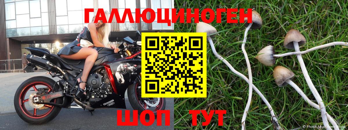Псилоцибиновые грибы ЛСД Канаш