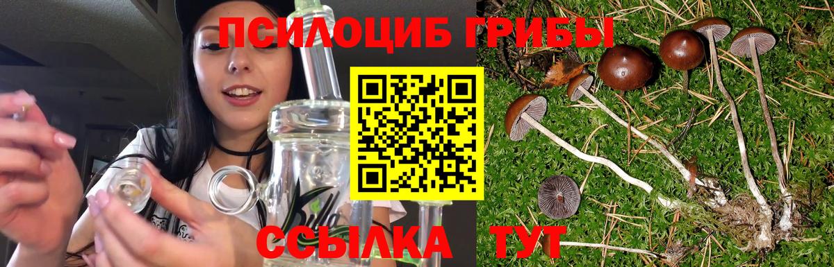 Галлюциногенные грибы Psilocybine cubensis  купить наркотики сайты  Канаш  Вход с VPN 
